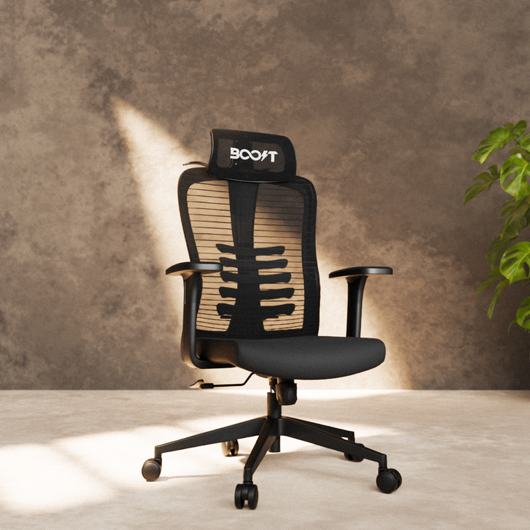 Momentum Ergonomic Mesh Chair