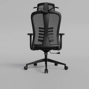 Momentum Ergonomic Mesh Chair