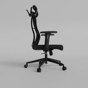 Momentum Ergonomic Mesh Chair