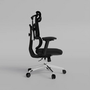 Aero Ergonomic Mesh Chair