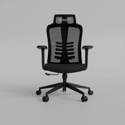 Momentum Ergonomic Mesh Chair