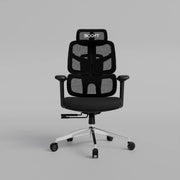 Aero Ergonomic Mesh Chair