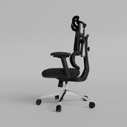 Aero Ergonomic Mesh Chair