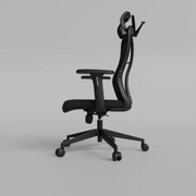 Momentum Ergonomic Mesh Chair