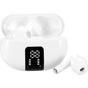 Boost Hawk Earbuds