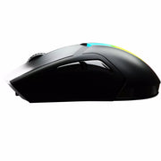 Best Raptor Mouse