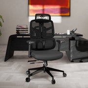 Aero Ergonomic Mesh Chair